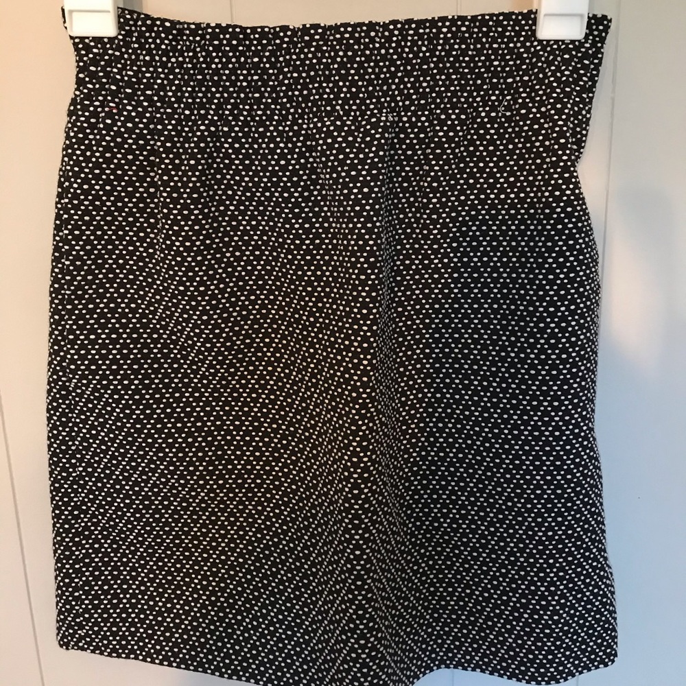 J.Crew Skirt